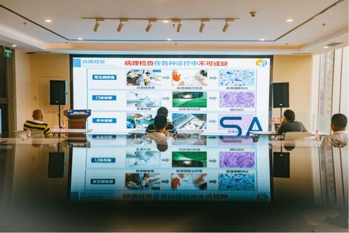 數(shù)字經(jīng)濟(jì)產(chǎn)業(yè)賦能 場景匯路演聚焦人工智能雙創(chuàng)服務(wù)與智慧教育新機遇